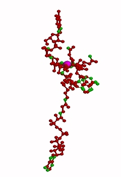 Extended Adenosylcobalamin