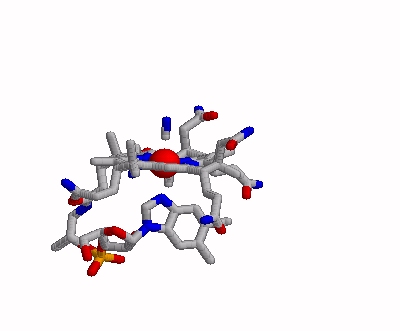 CNCbl side