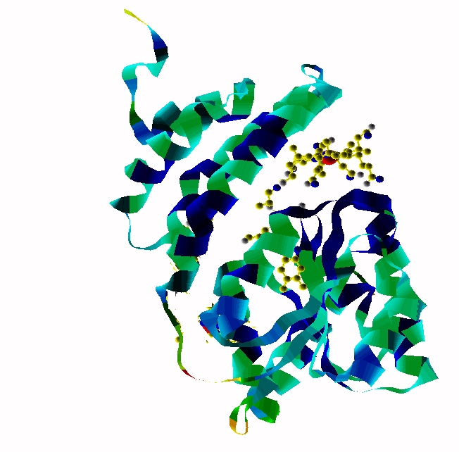 MeCbl-methionine synthase