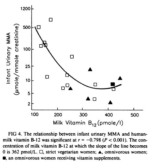 B12 in Pregnancy